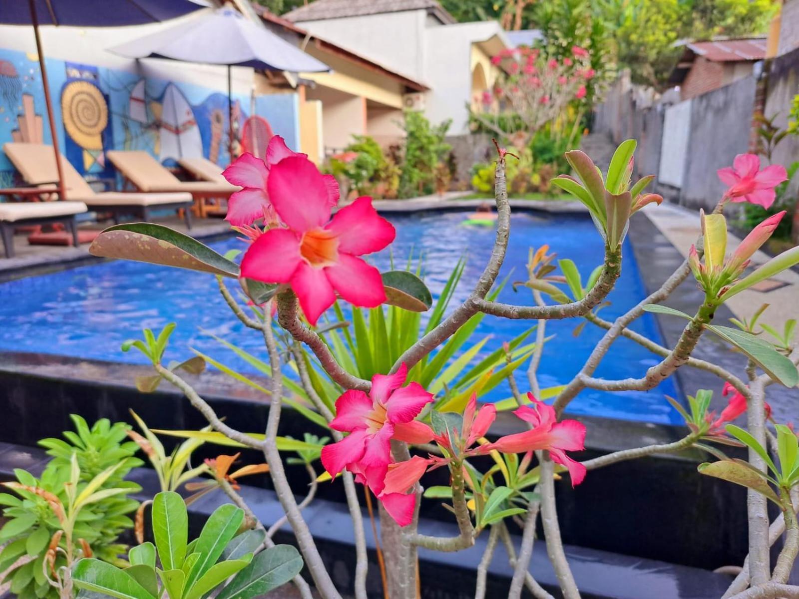 Family Garden Homestay Senggigi Buitenkant foto